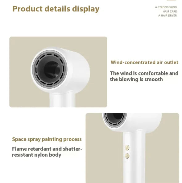 Professional High Power Ionic Hair Dryer