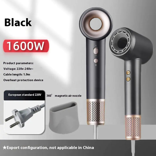 Professional High Power Ionic Hair Dryer