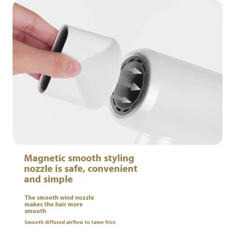 Professional High Power Ionic Hair Dryer