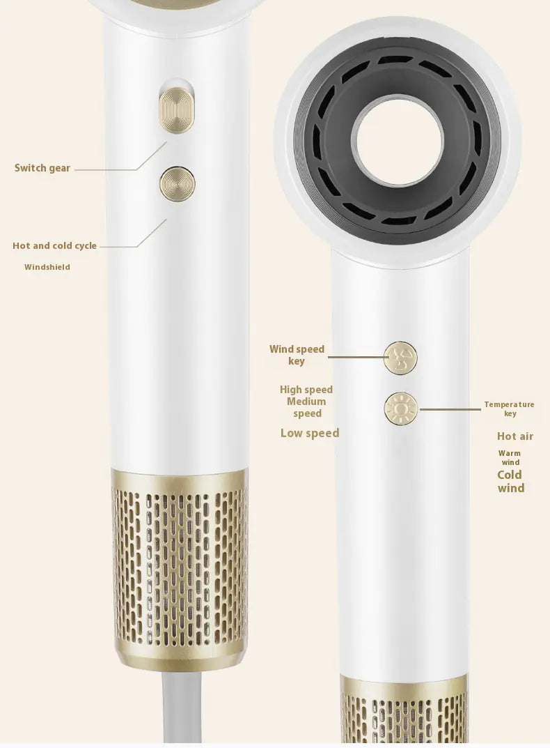 Professional High Power Ionic Hair Dryer