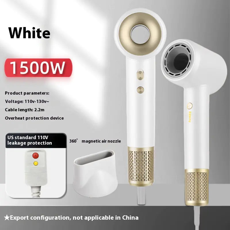 Professional High Power Ionic Hair Dryer