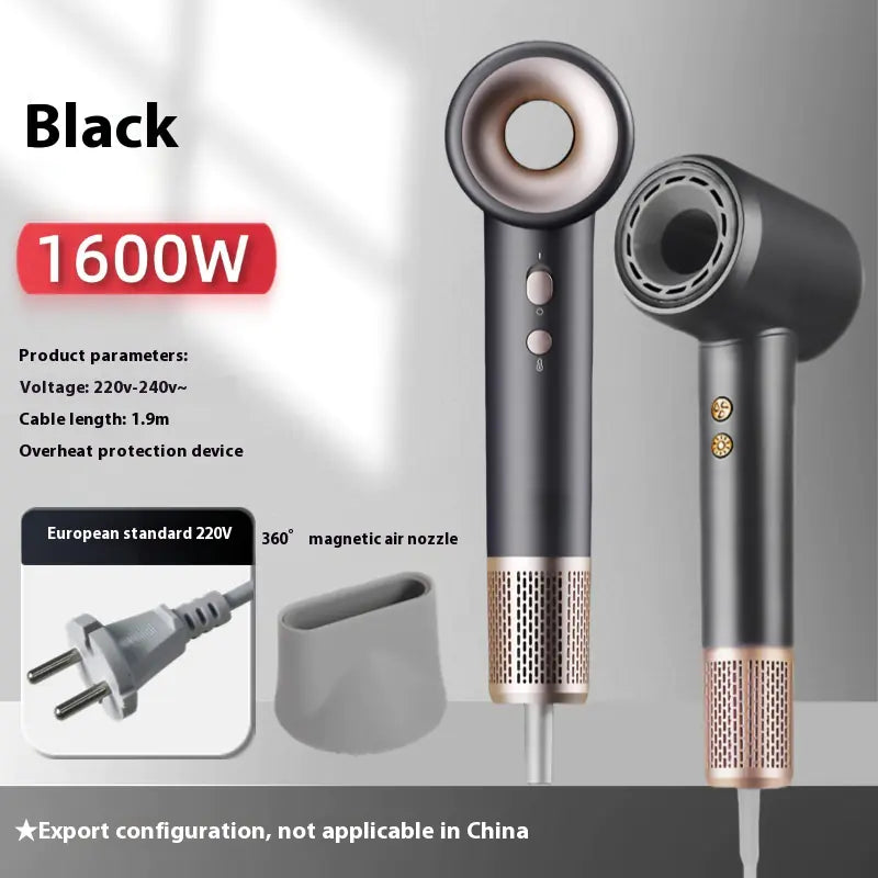 Professional High Power Ionic Hair Dryer